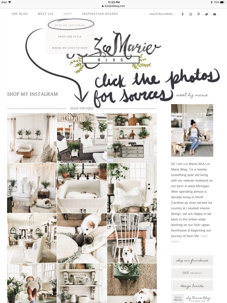 Shop My Instagram Graphic