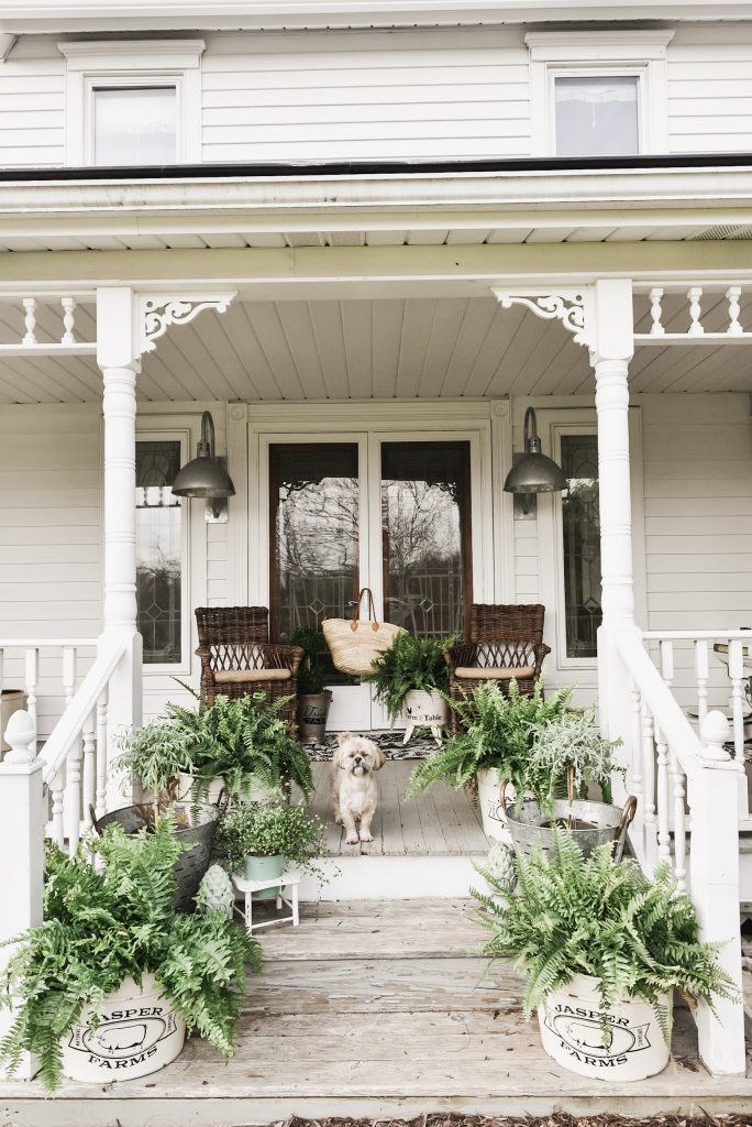 Trisha Yearwood Home Collection