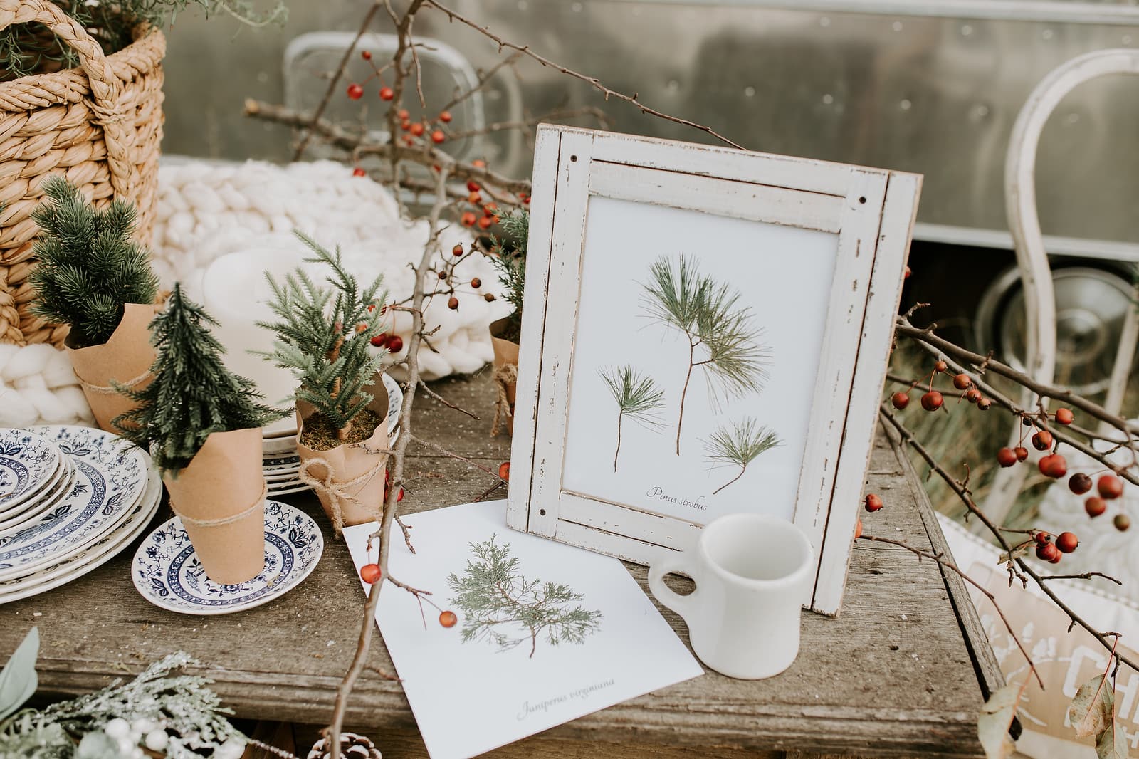 Cloth and Cabin Liz Marie