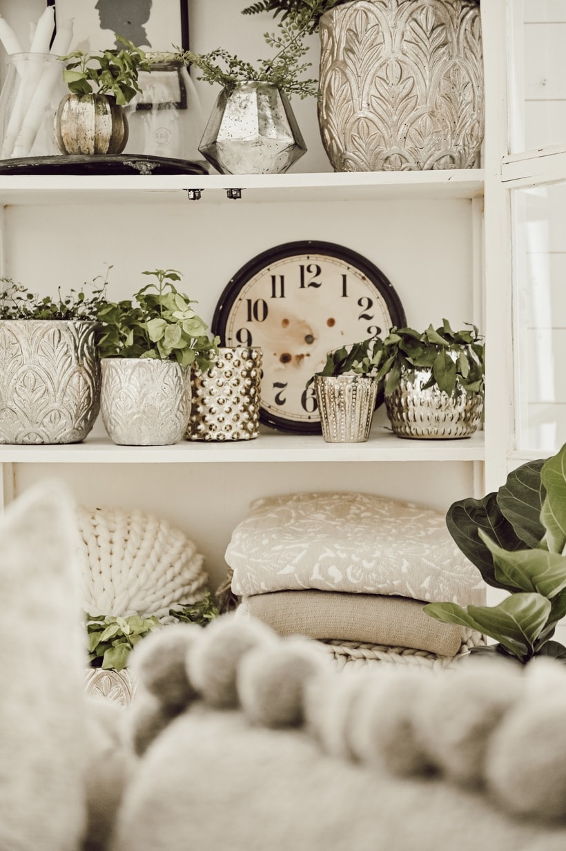 Plants in a bookcase with pillows and blankets