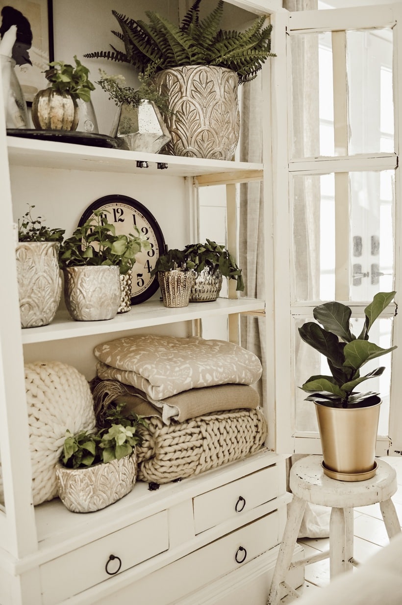 Bookcase with Plants and Blankets