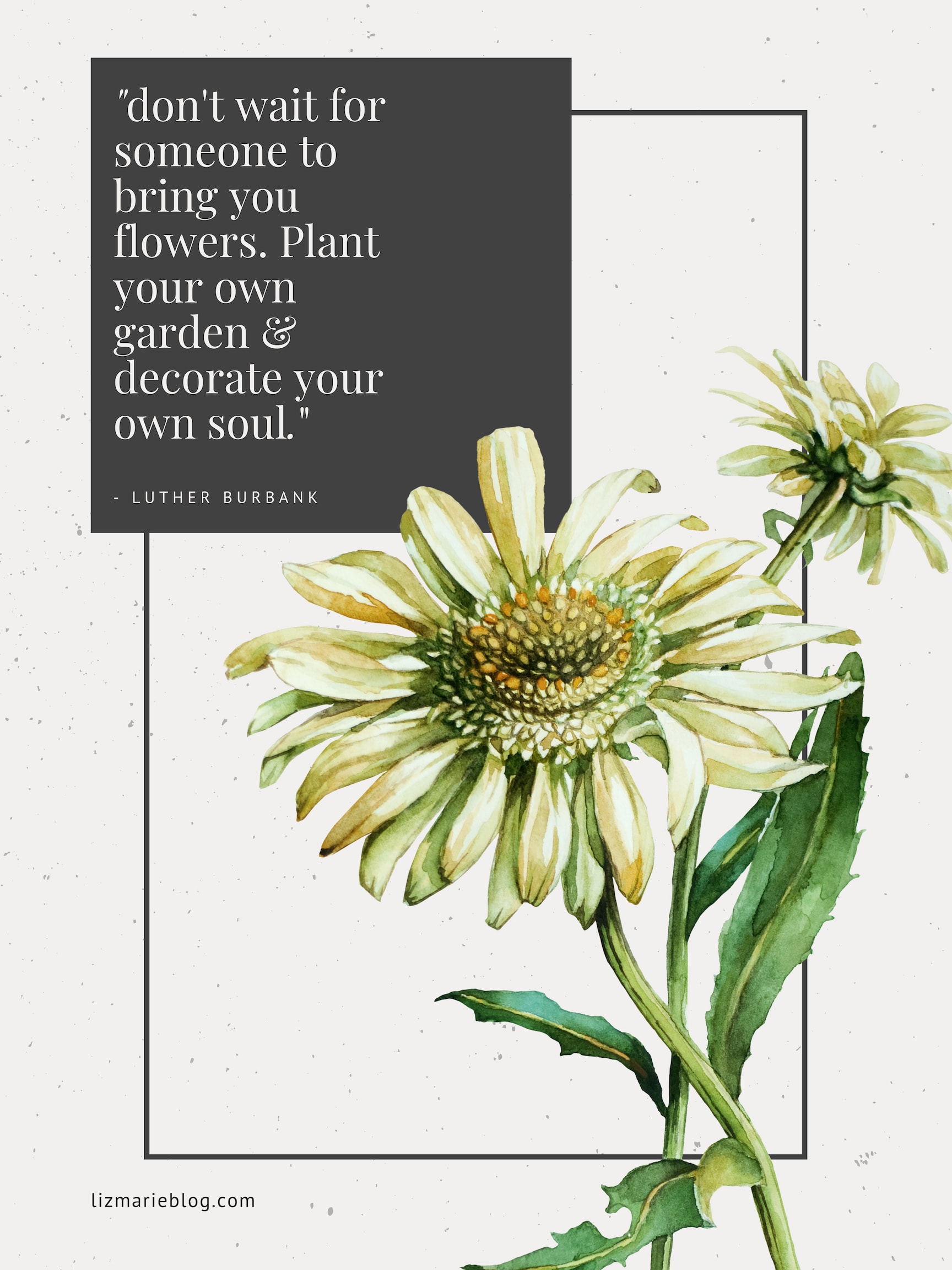 don't wait for someone to bring you flowers. Plant your own green & decorate your own soul. Inspirational quote by Luther Burbank