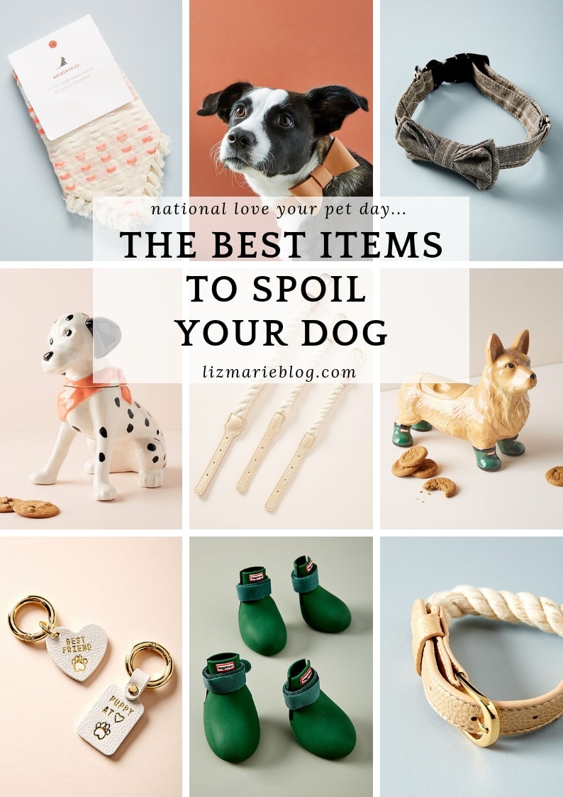 9 examples of the best items to spoil your dog. Curated gift ideas for national love your pet day by Liz Marie