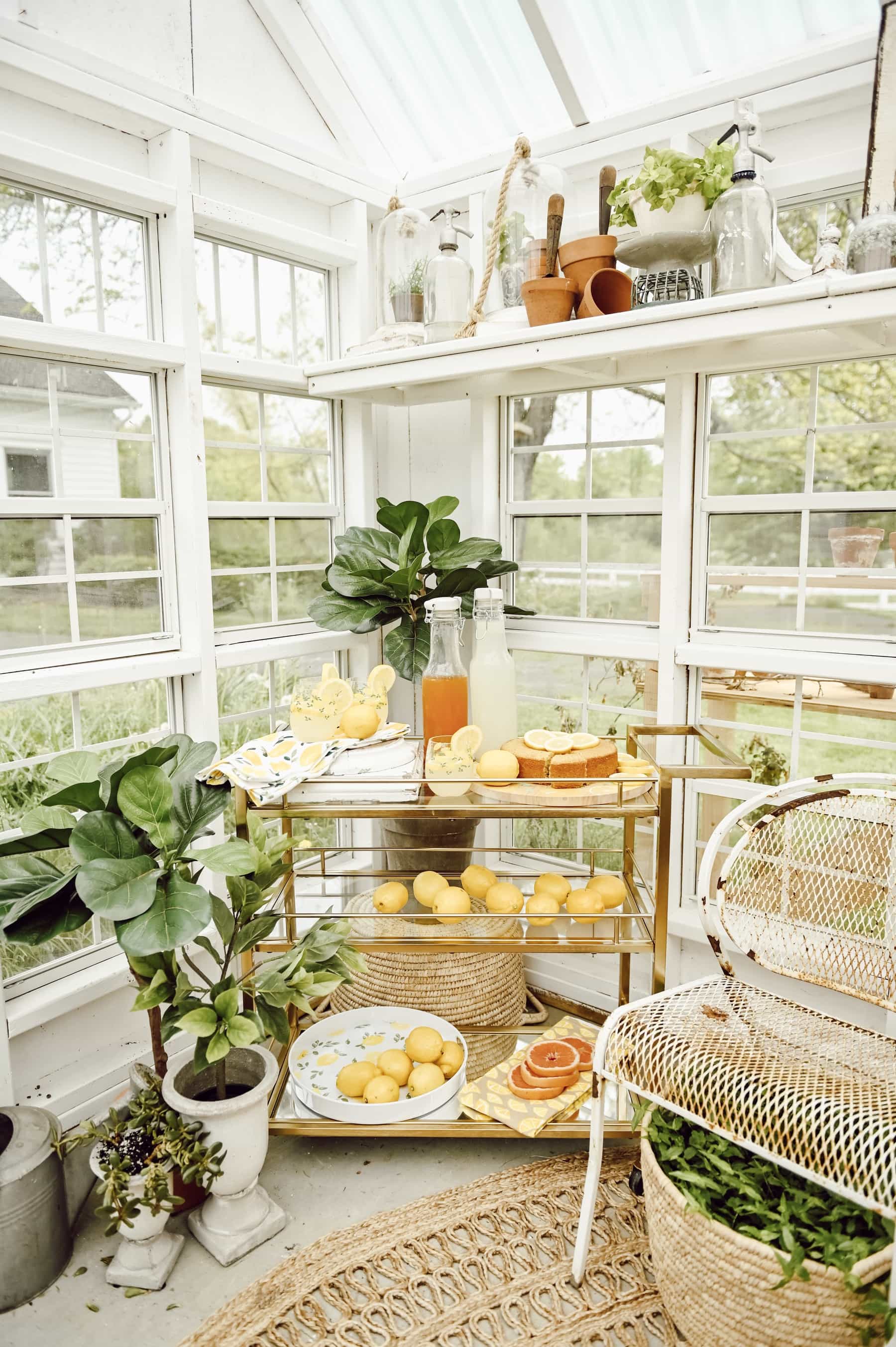 Greenhouse with a lemon drink cart in the corner
