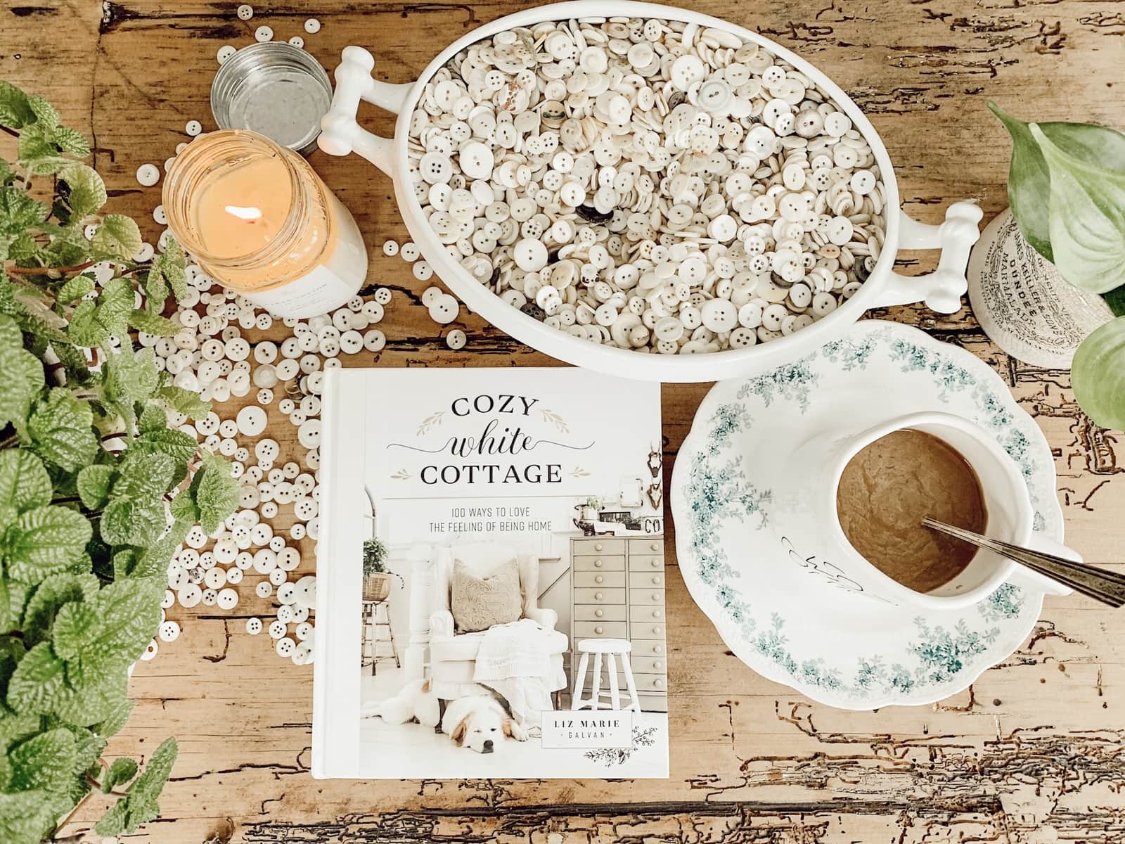 Cozy White Cottage Book