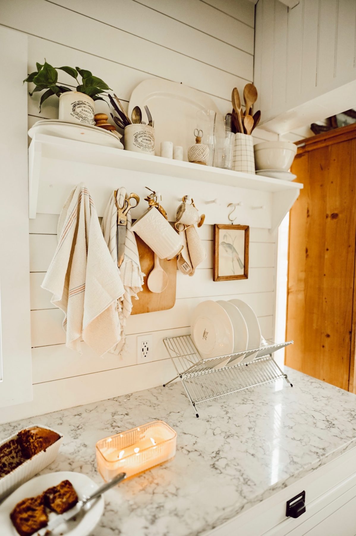 Kitchen Countertops and Design