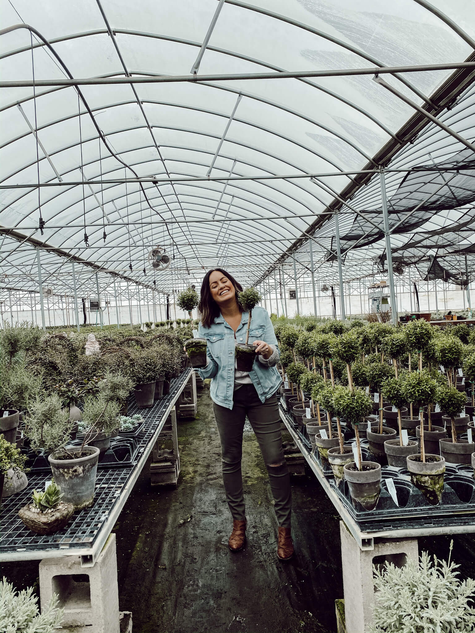 Best Plants for Farmhouse Style