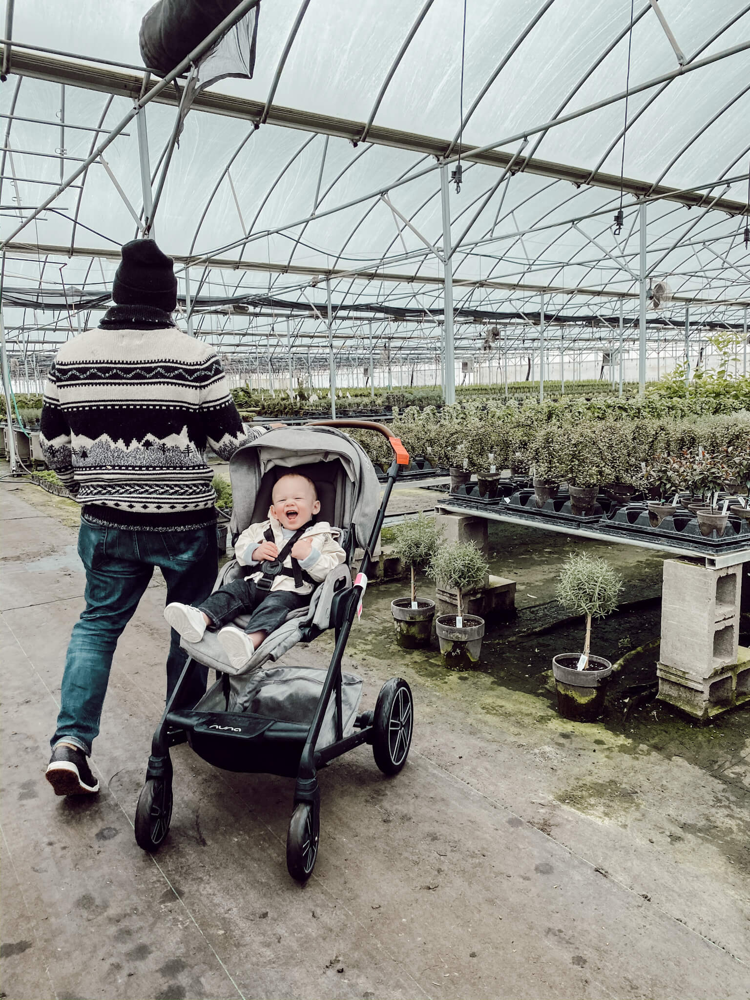 Fun Greenhouse Photo