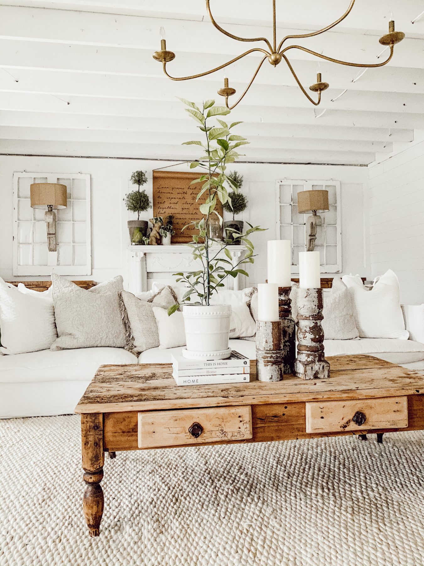 Lime Plant on Coffee Table