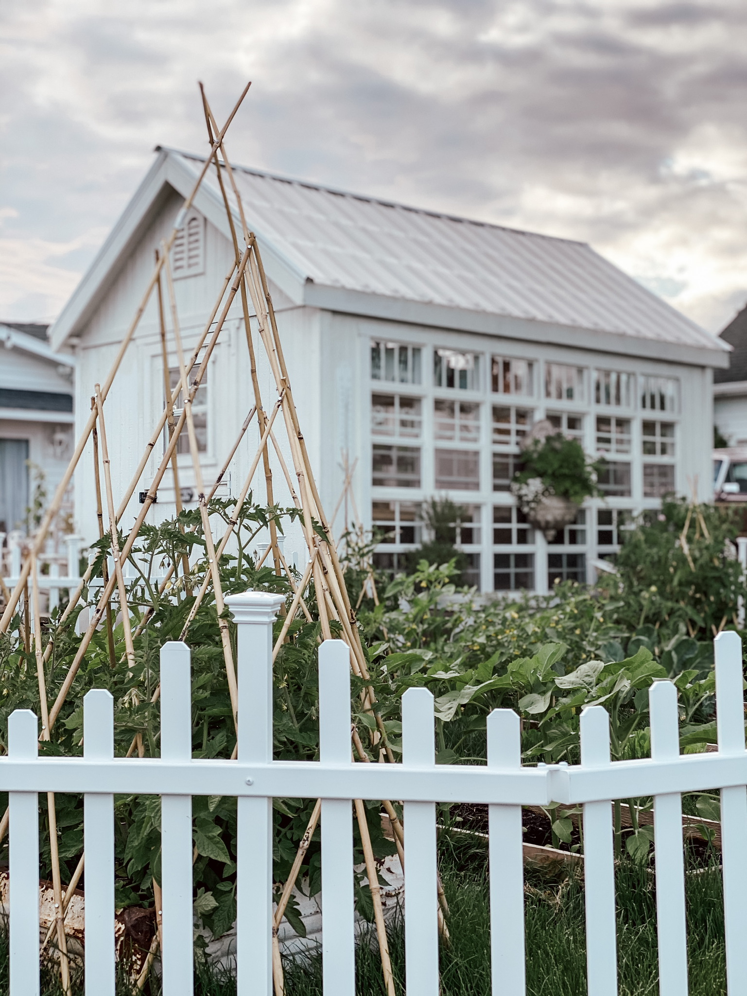 garden fence review image