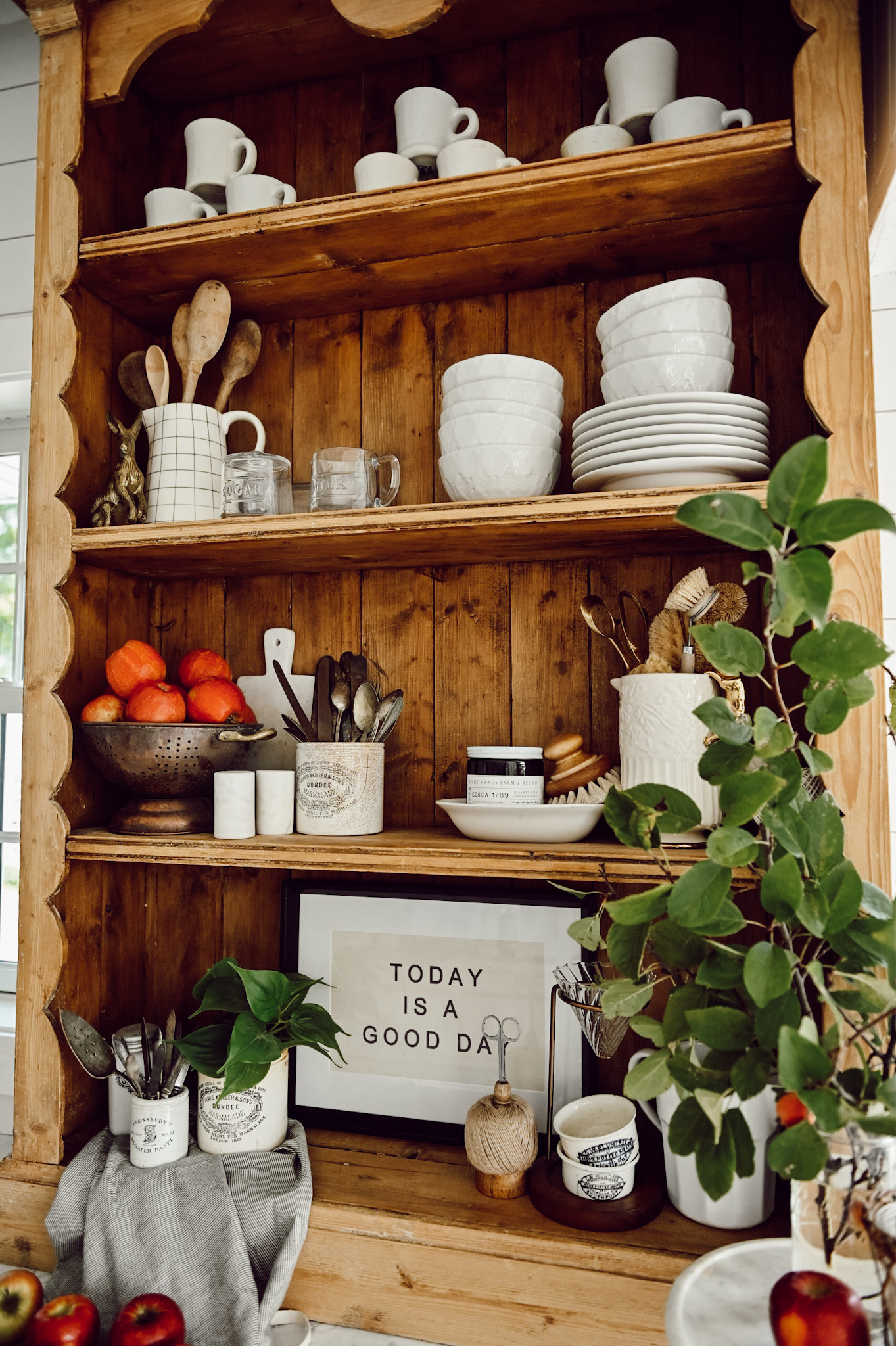 Antique Bookshelf Storage in Kitchen