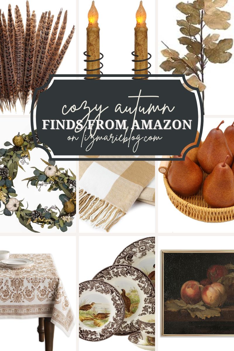Cozy Autumn Find from Amazon : The Best Fall Decor curated by Liz Marie