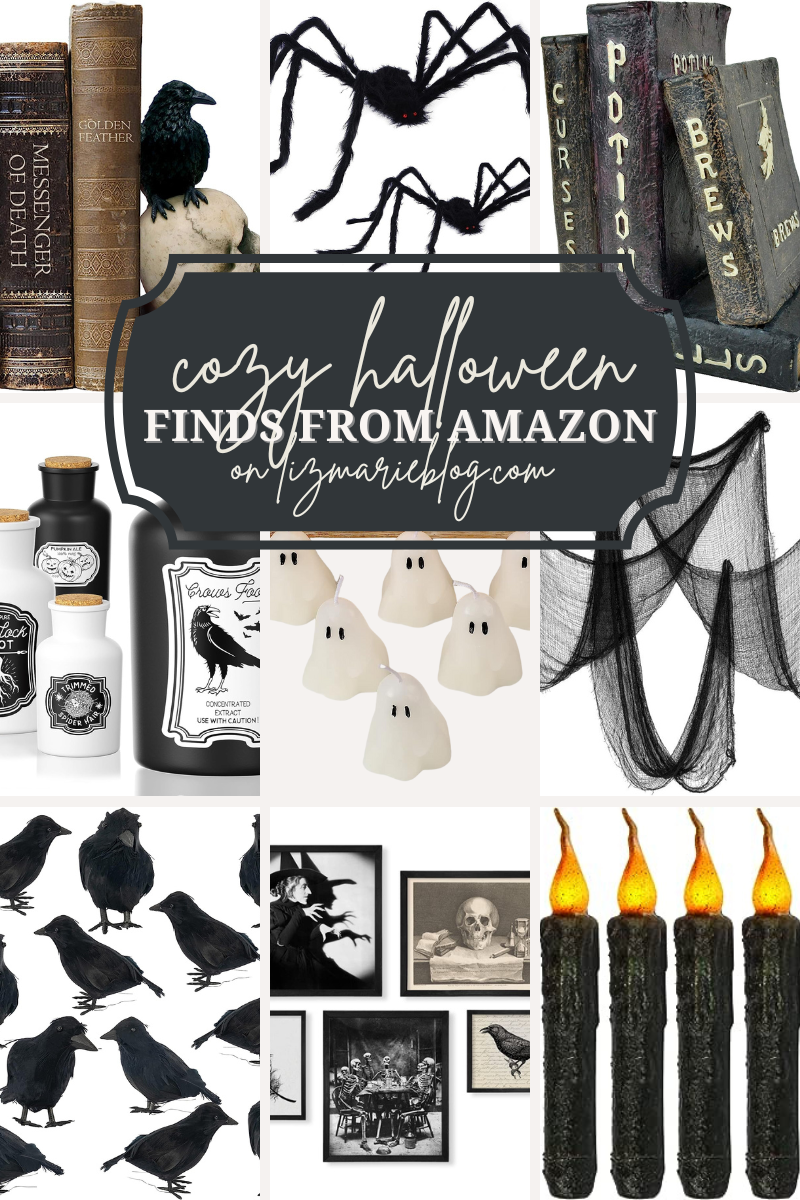 Cozy Halloween Finds from Amazon: The Best Halloween Decor from Amazon by Liz Marie
